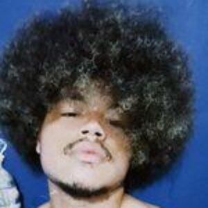 Foto de perfil de Celso Cândido