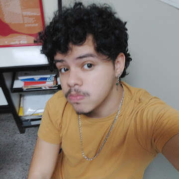 Foto de perfil de Bruno Barros Valdivia